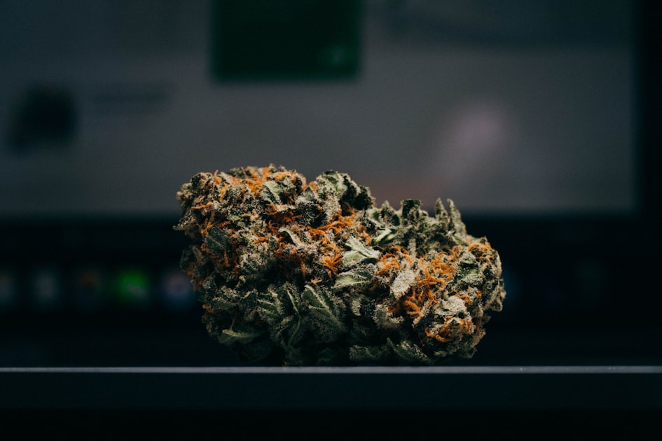 Sustainability in Cannabis Production